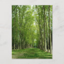 Search for garden path postcards Tree