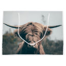 Search for highland cow crafts party Animal