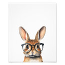 Search for bunny with glasses art Rabbit