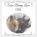Search for bunny love stickers Sweet