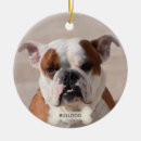 Search for boxer dog christmas tree decorations Cute
