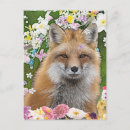 Search for woodland foxes postcards For kids