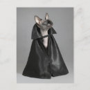 Search for count dracula postcards Cat