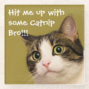 Search for attitude barware Cat