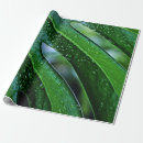 Search for monstera wrapping paper Leaf