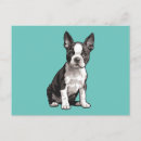 Search for bostons postcards Dogs
