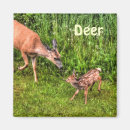 Search for animals design magnets For kids