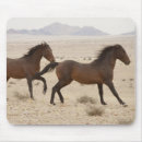 Search for animal gallery electronics Horse
