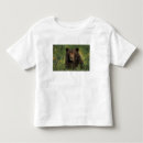 Search for ursus arctos tshirts Alaska