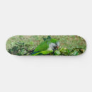 Search for bush skateboards Nature