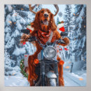 Search for irish setter posters Animal