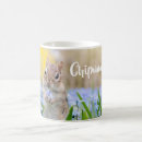 Search for chipmunk mugs Cute
