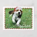 Search for hunting christmas cards Fun