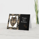Search for eighty nine cards For him