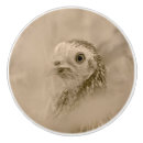 Search for chicken knobs and pulls Fowl