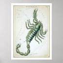 Search for astrology posters Horoscope