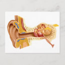 Search for human ear postcards Digitally generated image