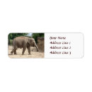 Search for asian return address labels Nature