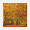 Search for path magnets Autumn