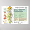 Search for chiropractor posters Chiropractic