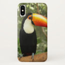 Search for toucan iphone cases Bird