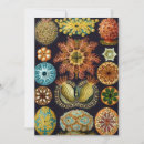 Search for marine animals invitations Sea