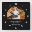Search for chihuahua clocks Funny