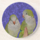 Search for parakeet barware Cute