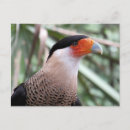 Search for threatening postcards Nature