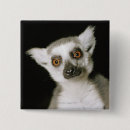 Search for lemur badges Zoo