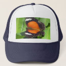 Search for flying insects hats Butterfly
