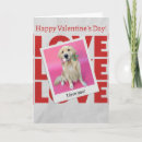 Search for dog valentines day cards Roses