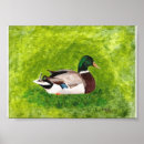 Search for mallard duck painting posters Bird
