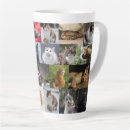 Search for domestic cats mugs Kittens