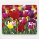 Search for pacific northwest mousepads Oregon
