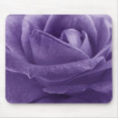 Search for rose macro electronics Floral