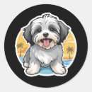 Search for havanese stickers Cute
