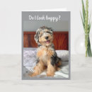 Search for bernedoodle cards Veterinarian