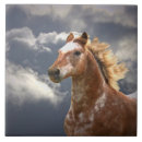 Search for appaloosa horse home decor Horses