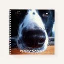 Search for collie notebooks Animals