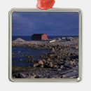 Search for newfoundland christmas tree decorations Nature