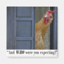 Search for expectant magnets Funny
