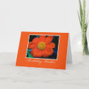 Search for wishes photography Flower