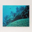 Search for oasis puzzles Nature