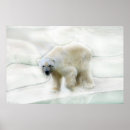Search for iciness posters Animal