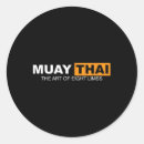 Search for full contact stickers Ninja