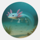 Search for underwater stickers Ocean life