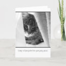 Search for for loss of cat sympathy cards Kitten