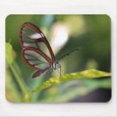 Search for rican mousepads Butterfly