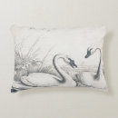 Search for swallow cushions Drawing